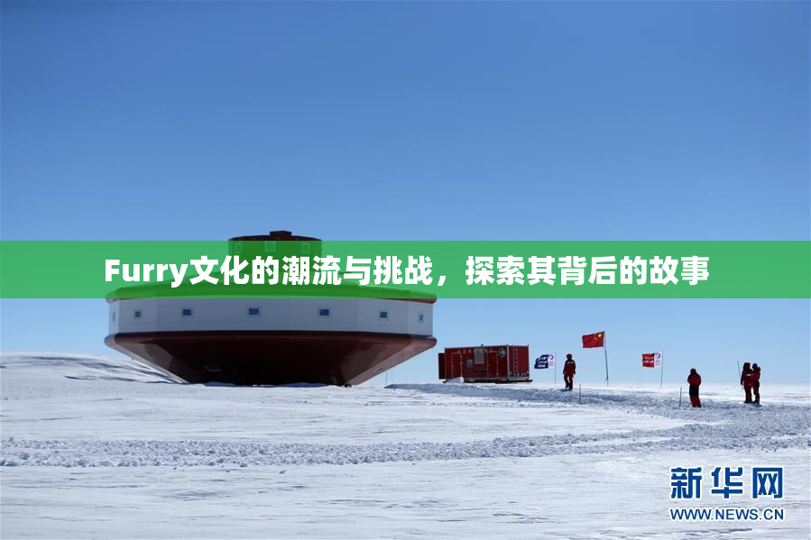Furry文化的潮流与挑战，探索其背后的故事