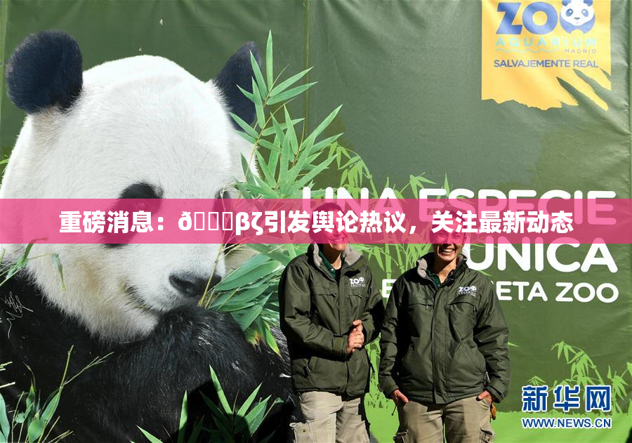 重磅消息：👙βζ引发舆论热议，关注最新动态