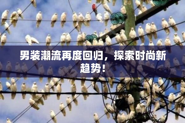 男装潮流再度回归，探索时尚新趋势！