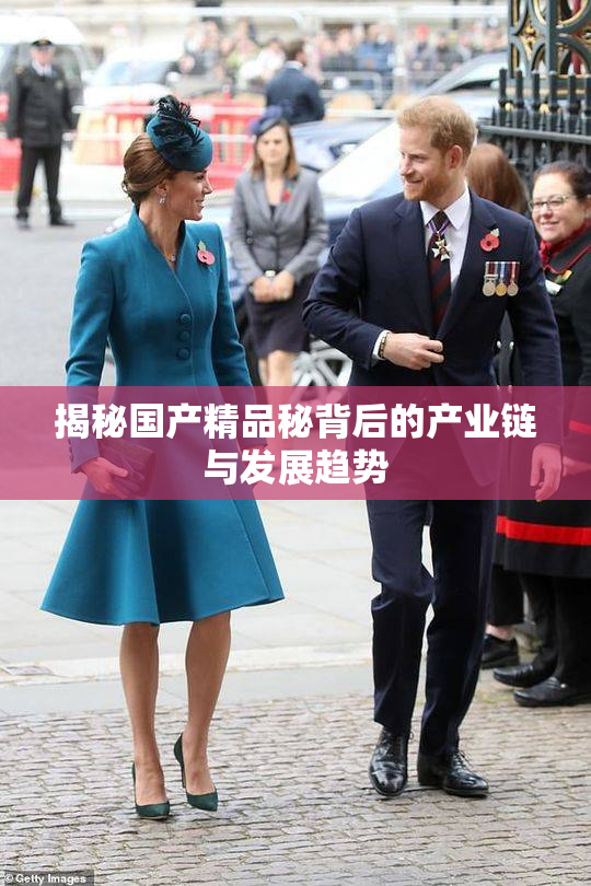 揭秘国产精品秘背后的产业链与发展趋势