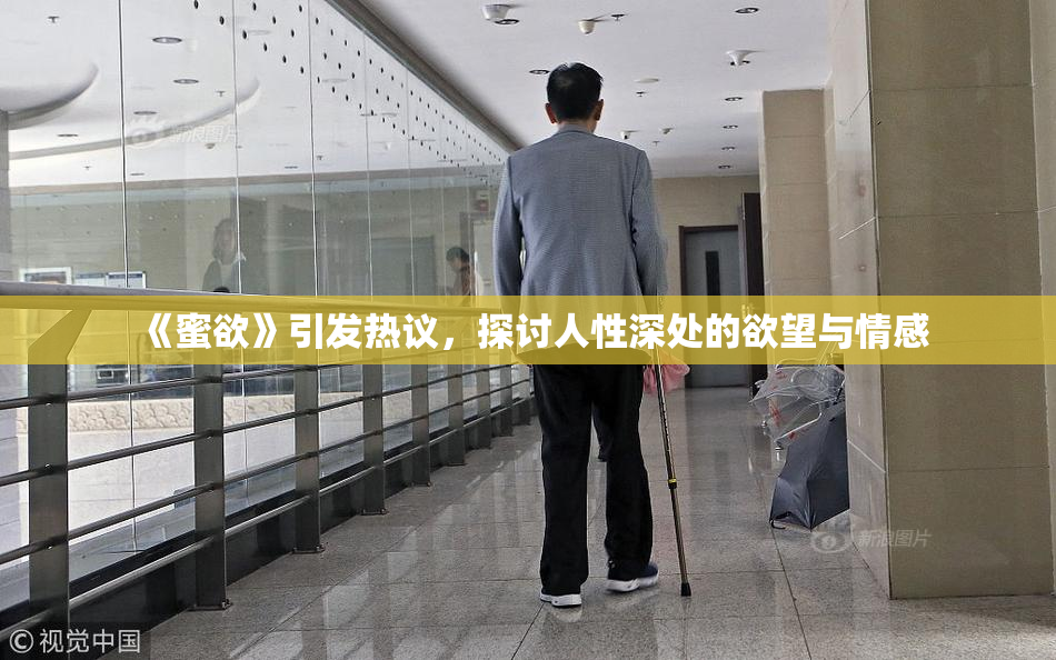 《蜜欲》引发热议，探讨人性深处的欲望与情感