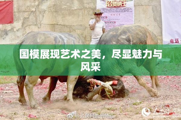 国模展现艺术之美，尽显魅力与风采
