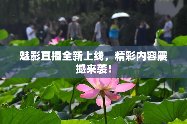 魅影直播全新上线，精彩内容震撼来袭！