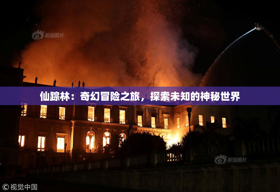 仙踪林：奇幻冒险之旅，探索未知的神秘世界