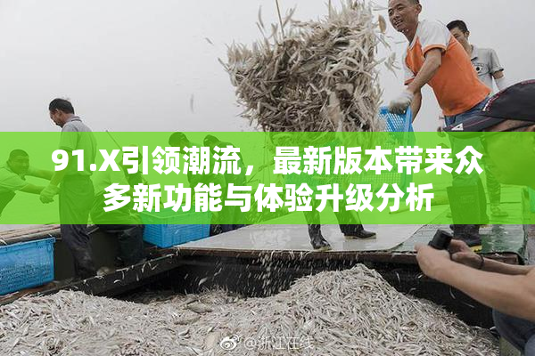 91.X引领潮流，最新版本带来众多新功能与体验升级分析