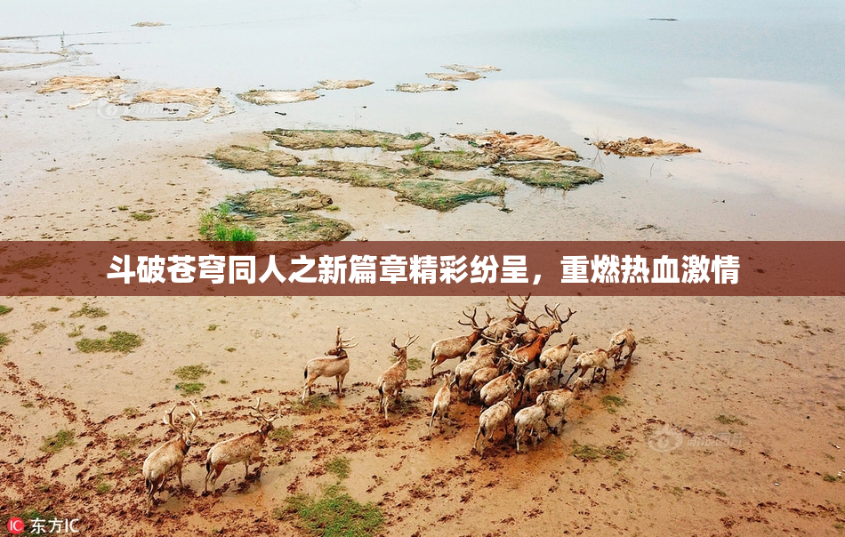 斗破苍穹同人之新篇章精彩纷呈，重燃热血激情