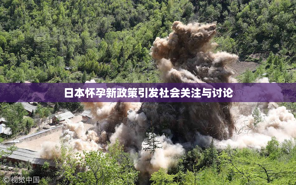 日本怀孕新政策引发社会关注与讨论