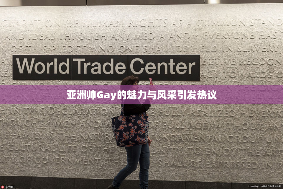 亚洲帅Gay的魅力与风采引发热议