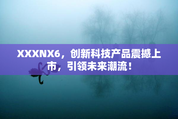 XXXNX6，创新科技产品震撼上市，引领未来潮流！