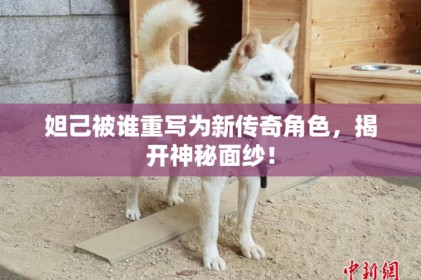 妲己被谁重写为新传奇角色，揭开神秘面纱！