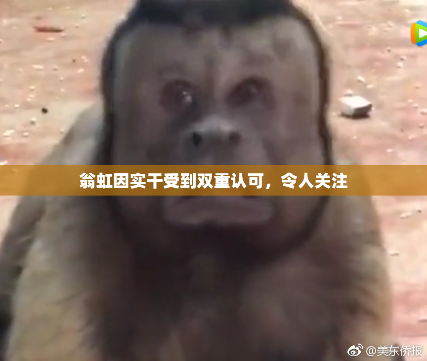 翁虹因实干受到双重认可，令人关注