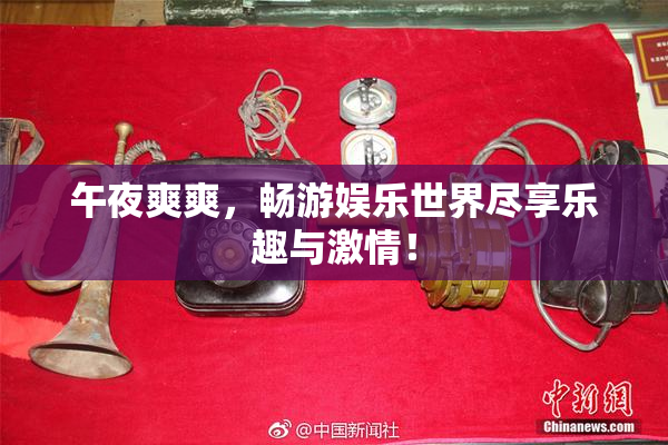 午夜爽爽，畅游娱乐世界尽享乐趣与激情！
