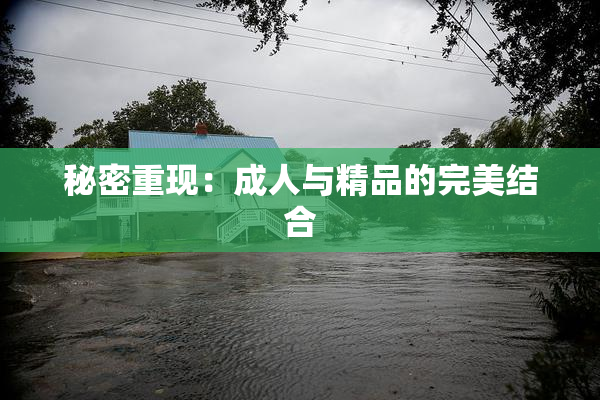 秘密重现：成人与精品的完美结合