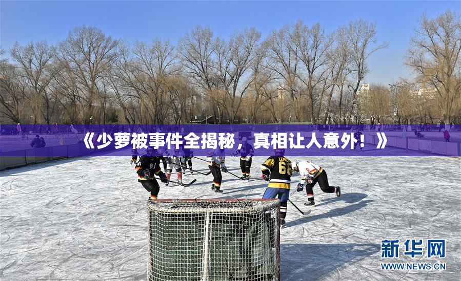 《少萝被事件全揭秘，真相让人意外！》