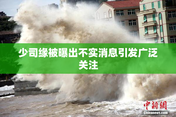 少司缘被曝出不实消息引发广泛关注