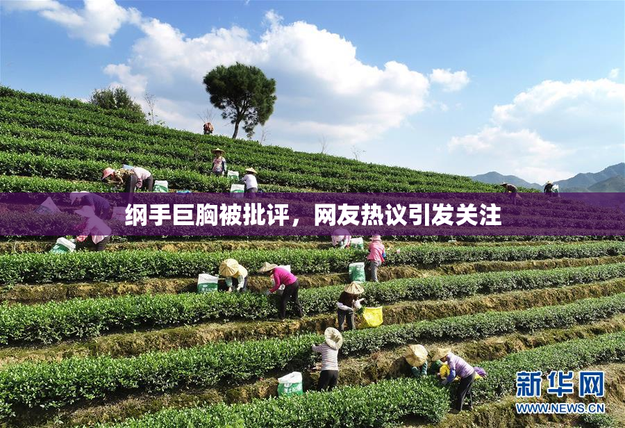 纲手巨胸被批评，网友热议引发关注