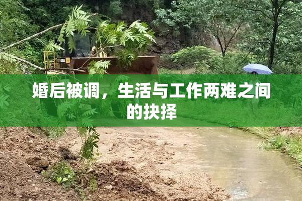 婚后被调，生活与工作两难之间的抉择