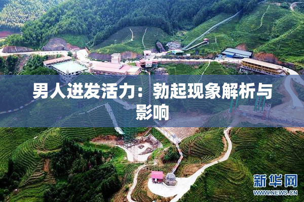 男人迸发活力：勃起现象解析与影响