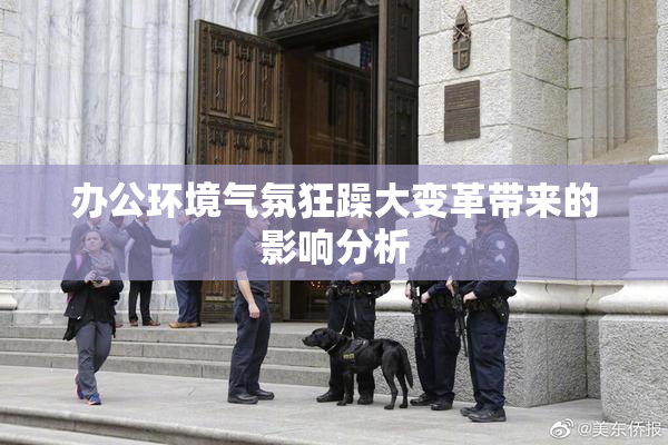 办公环境气氛狂躁大变革带来的影响分析