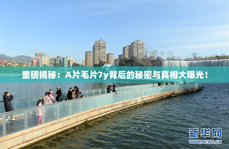 重磅揭秘：A片毛片7y背后的秘密与真相大曝光！