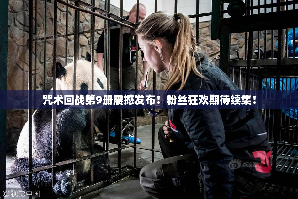 咒术回战第9册震撼发布！粉丝狂欢期待续集！