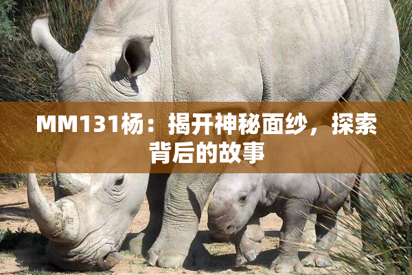 MM131杨：揭开神秘面纱，探索背后的故事