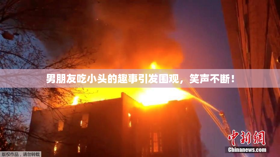 男朋友吃小头的趣事引发围观，笑声不断！