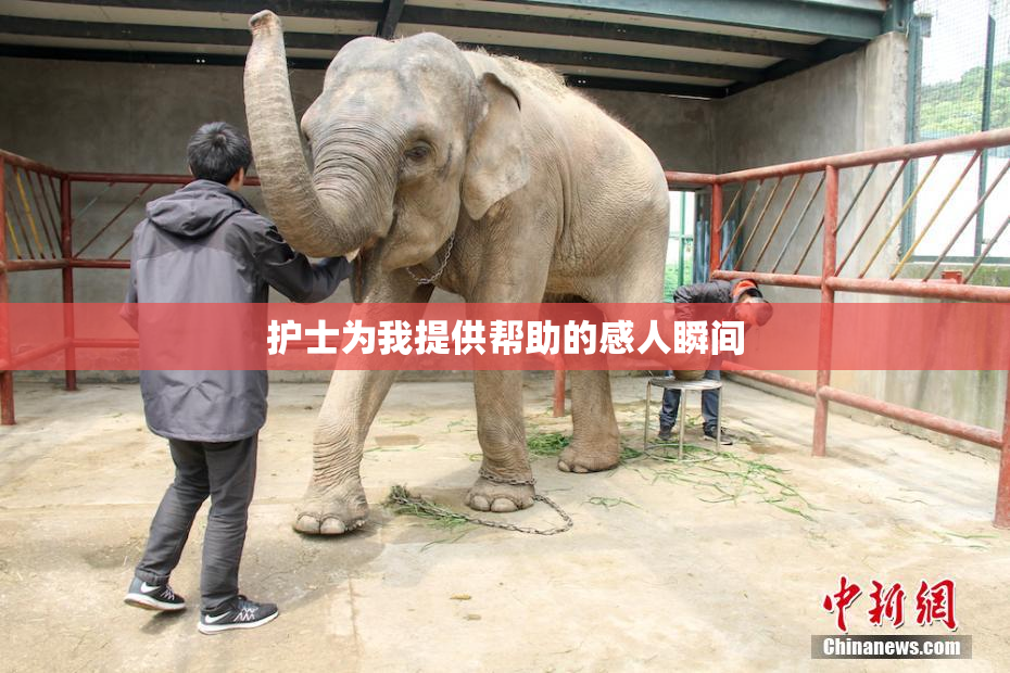 护士为我提供帮助的感人瞬间