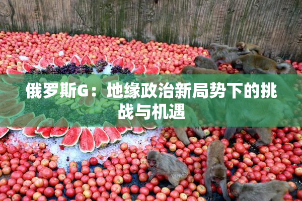 俄罗斯G：地缘政治新局势下的挑战与机遇