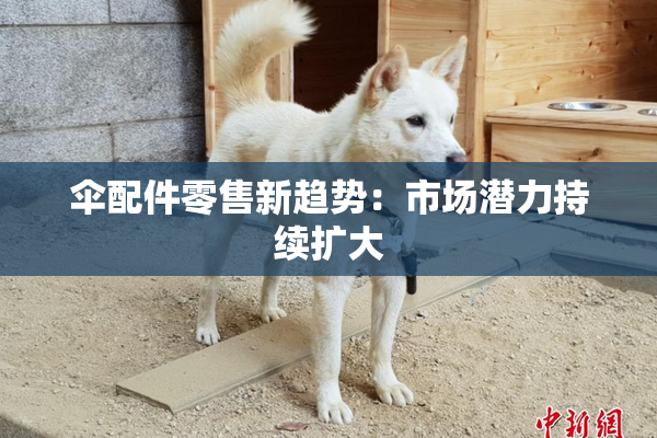 伞配件零售新趋势：市场潜力持续扩大