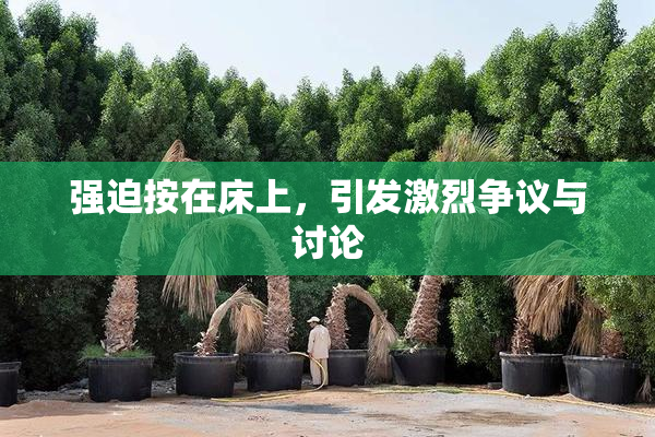 强迫按在床上，引发激烈争议与讨论