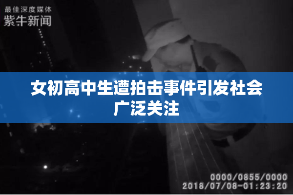 女初高中生遭拍击事件引发社会广泛关注