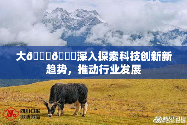 大🐔🐔深入探索科技创新新趋势，推动行业发展