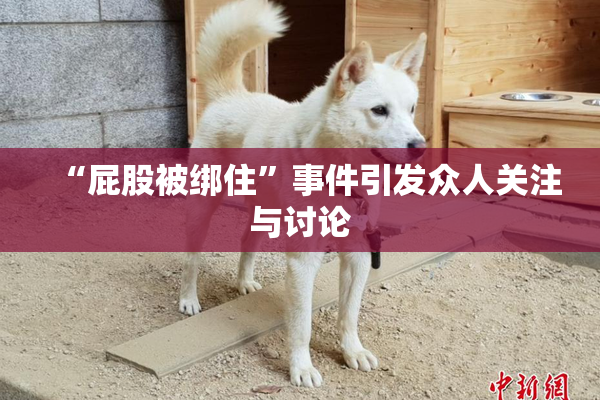 “屁股被绑住”事件引发众人关注与讨论