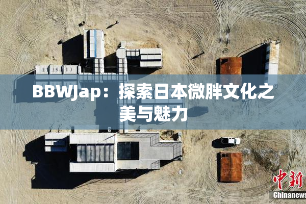 BBWJap：探索日本微胖文化之美与魅力