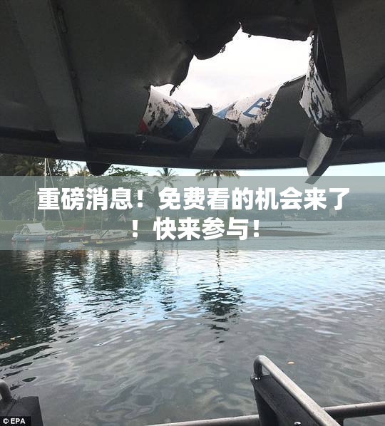重磅消息！免费看的机会来了！快来参与！