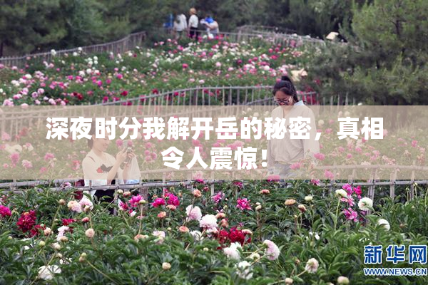 深夜时分我解开岳的秘密，真相令人震惊！