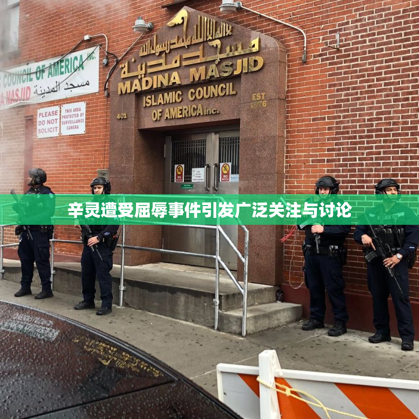 辛灵遭受屈辱事件引发广泛关注与讨论