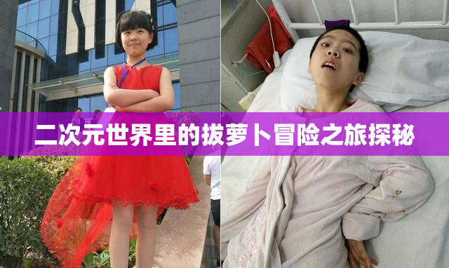 二次元世界里的拔萝卜冒险之旅探秘