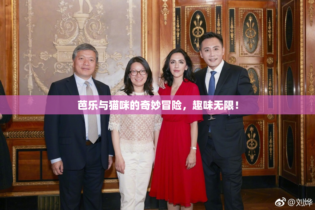 芭乐与猫咪的奇妙冒险，趣味无限！