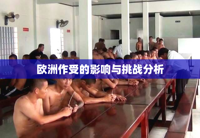 欧洲作受的影响与挑战分析