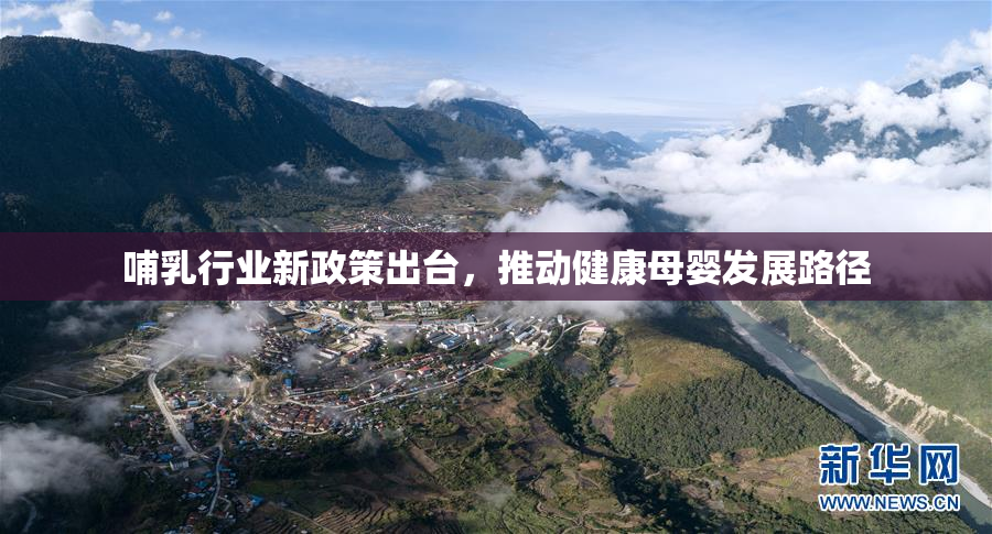哺乳行业新政策出台，推动健康母婴发展路径