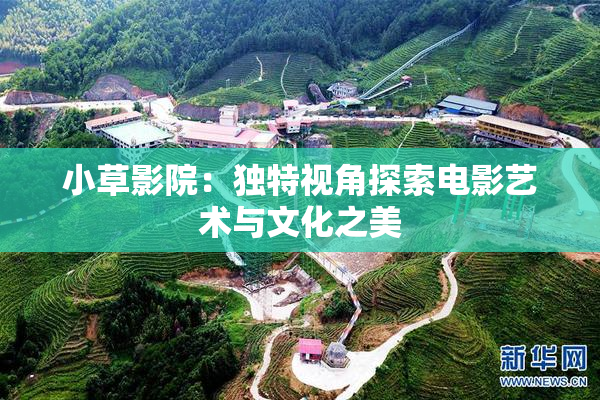 小草影院：独特视角探索电影艺术与文化之美
