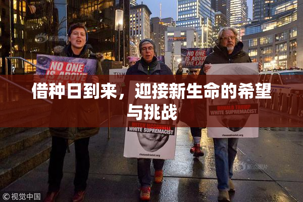 借种日到来，迎接新生命的希望与挑战