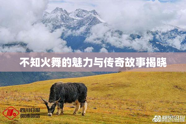 不知火舞的魅力与传奇故事揭晓