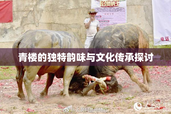 青楼的独特韵味与文化传承探讨