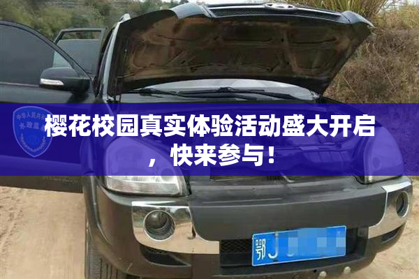 樱花校园真实体验活动盛大开启，快来参与！