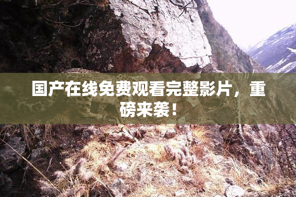 国产在线免费观看完整影片，重磅来袭！
