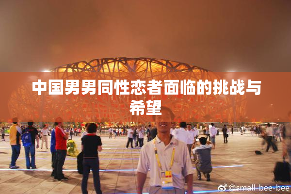 中国男男同性恋者面临的挑战与希望