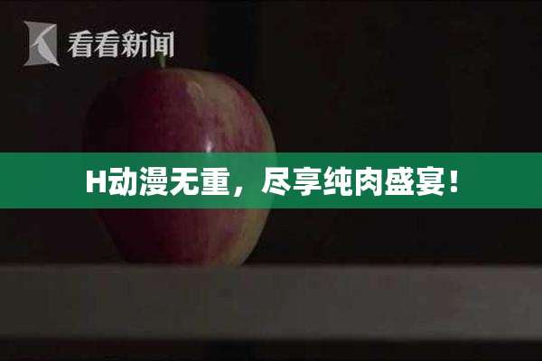 H动漫无重，尽享纯肉盛宴！